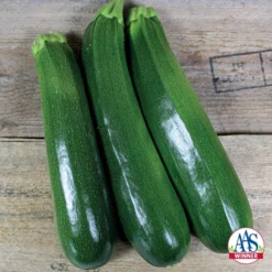 Commander Hybrid Zucchini