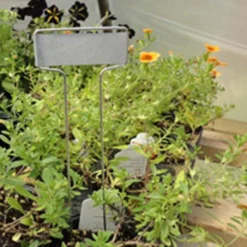 Metal Plant Marker Cap Style