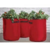 Tomato Patio Planter Bags