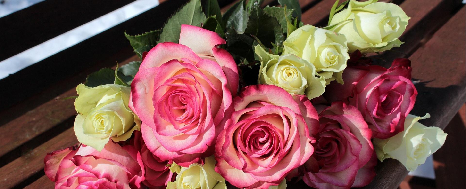 Featured Plant Shop -Featured Plant Shop roses 1246490 1920